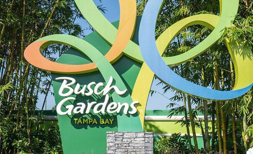 New 2br * Tampa